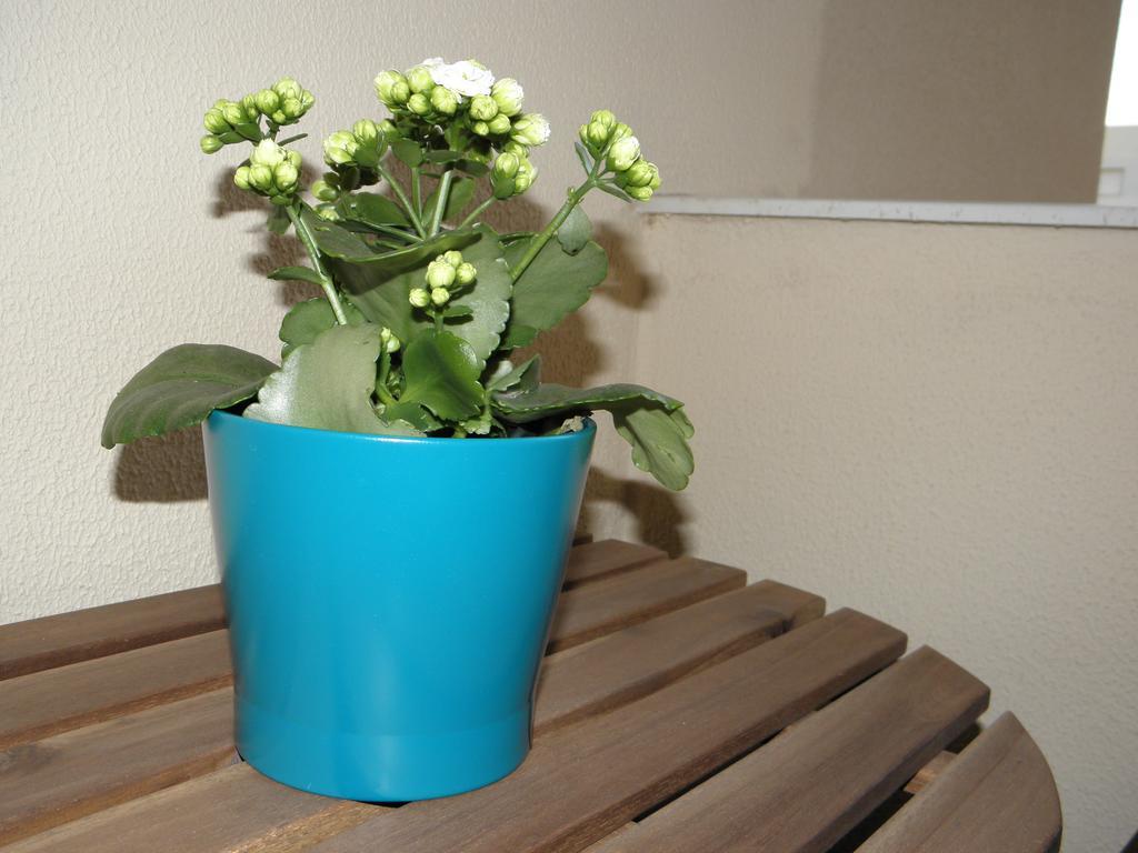 Apartamento En Jerez De La Frontera 2 ภายนอก รูปภาพ